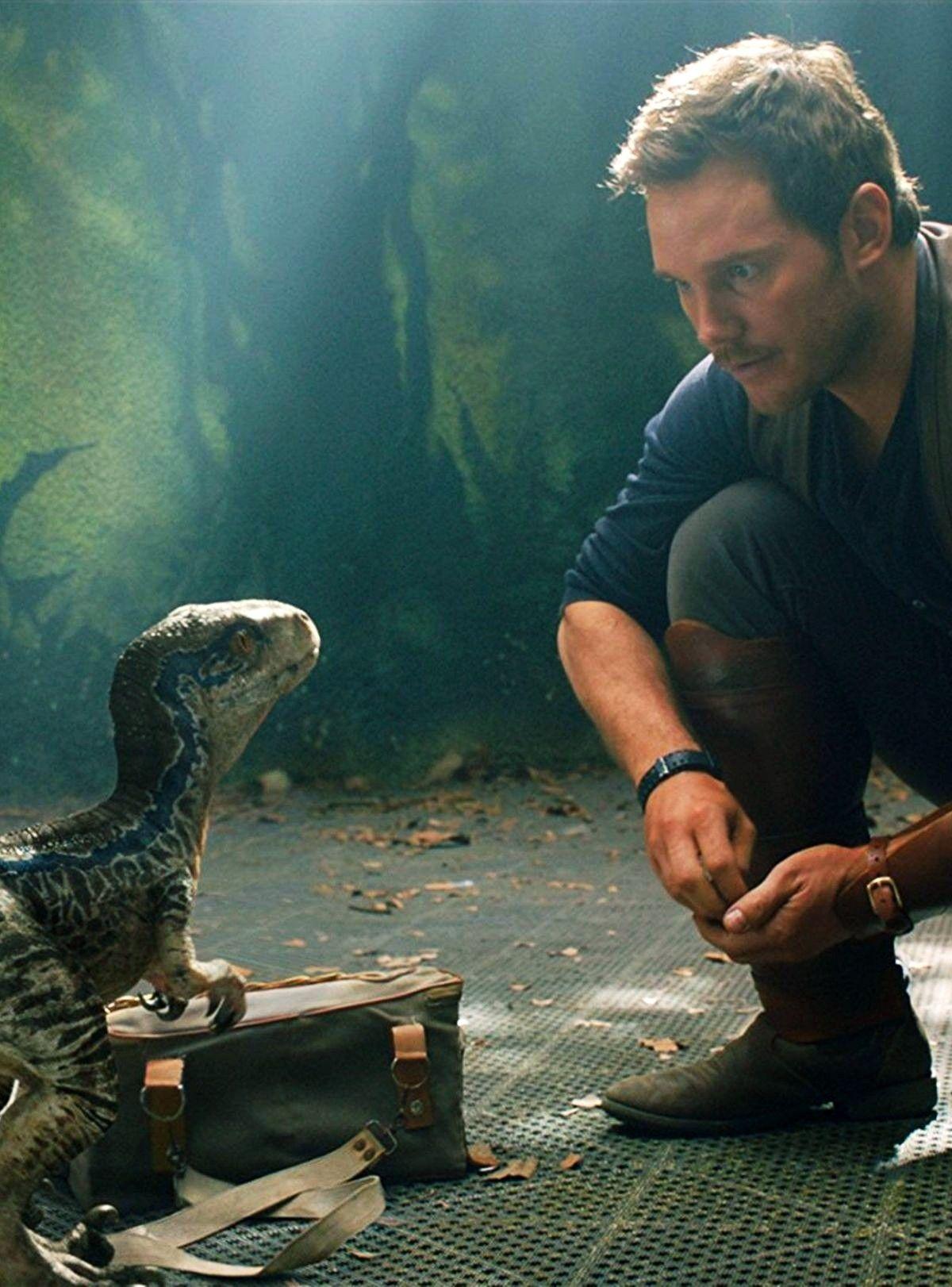 1200x1622 Công viên kỷ Jura Pin de Belle Garrett.  Dinosaurios jurassic world, Jurassic world, Dinosaurios hình ảnh