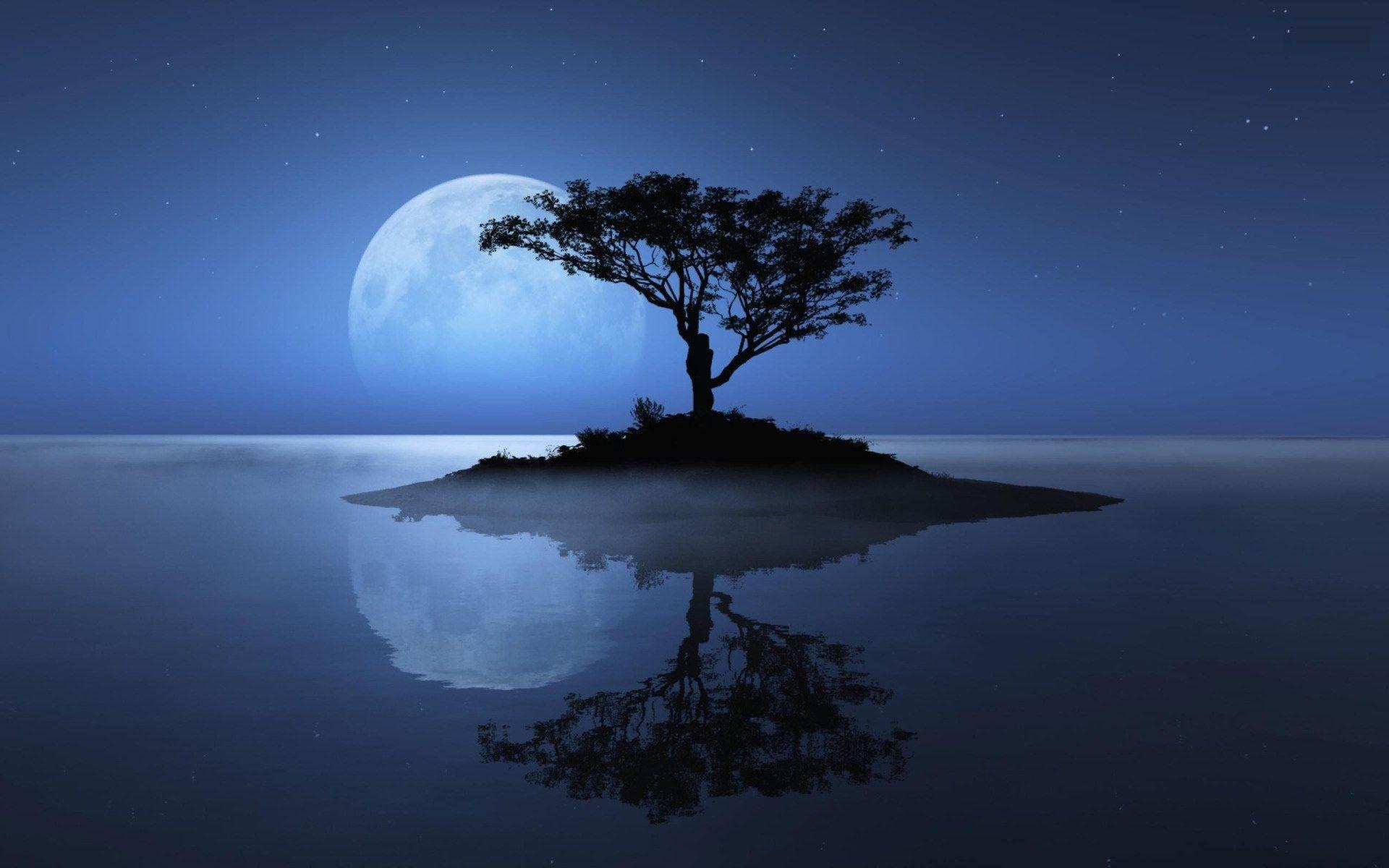 Moon and Tree Wallpapers - Top Free Moon and Tree Backgrounds -  WallpaperAccess