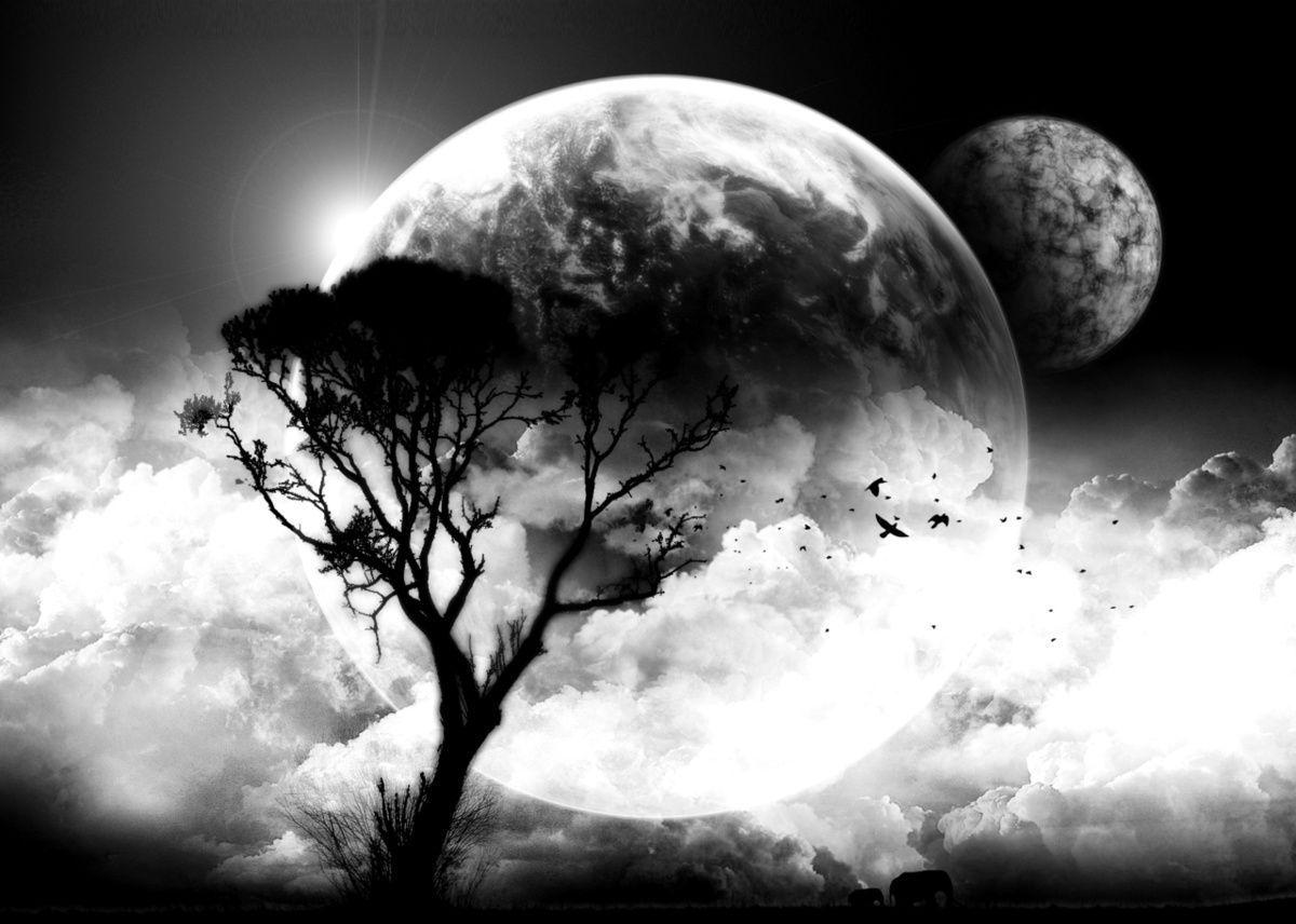 Moon and Tree Wallpapers - Top Free Moon and Tree Backgrounds -  WallpaperAccess