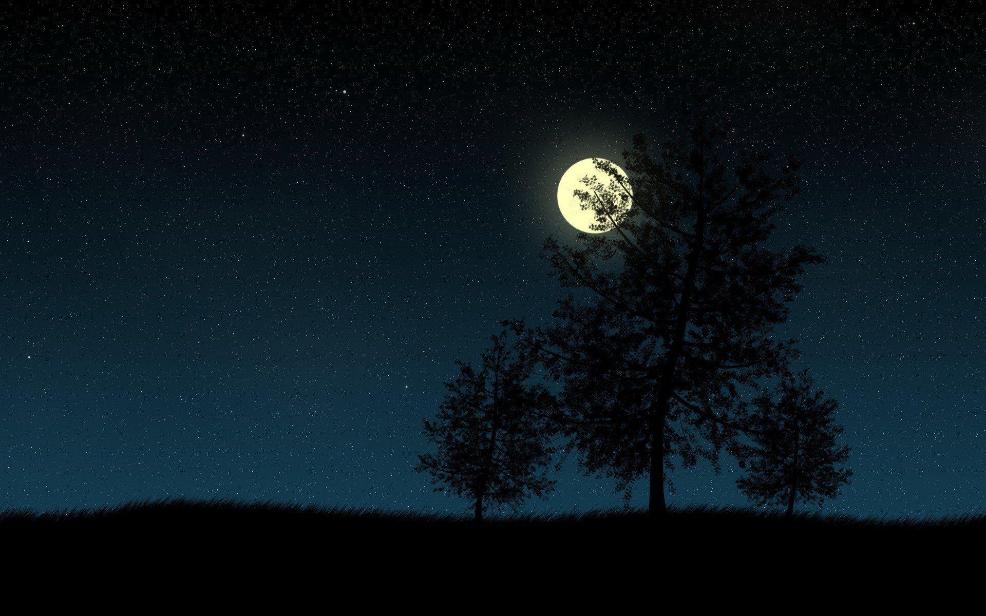 Moon And Tree Wallpapers Top Free Moon And Tree Backgrounds