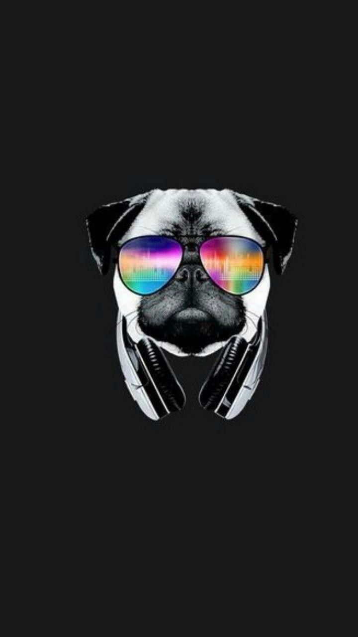 720x1280 Free download Cool Dog Wallpaper Animals in 2019 Pug wallpaper Cool [720x1280] for your Desktop, Mobile & Tablet. Explore Cool Dogs Wallpaper. Cool Dogs Wallpaper, Cool Wallpaper of Dogs