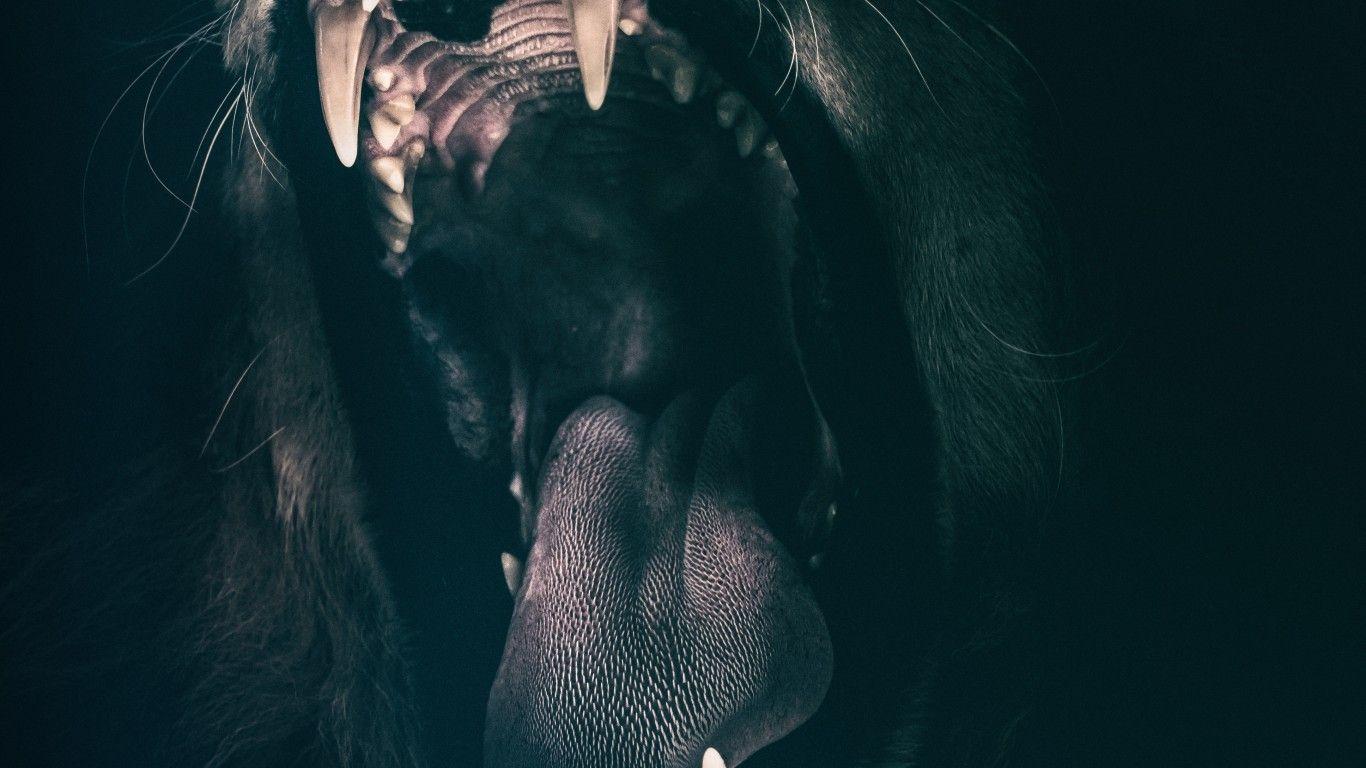1366x768 Predator HD Desktop Wallpaper Kecbio
