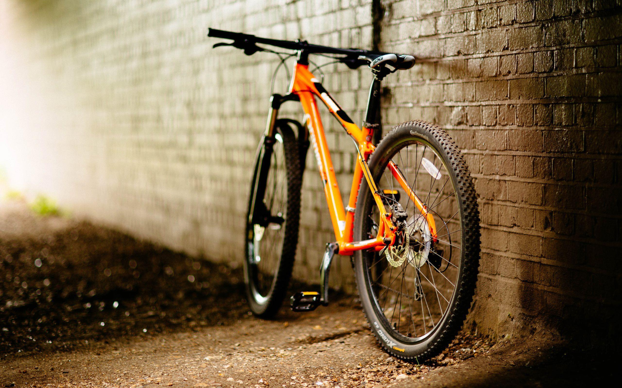 2560x1600 mtb desktop wallpaper