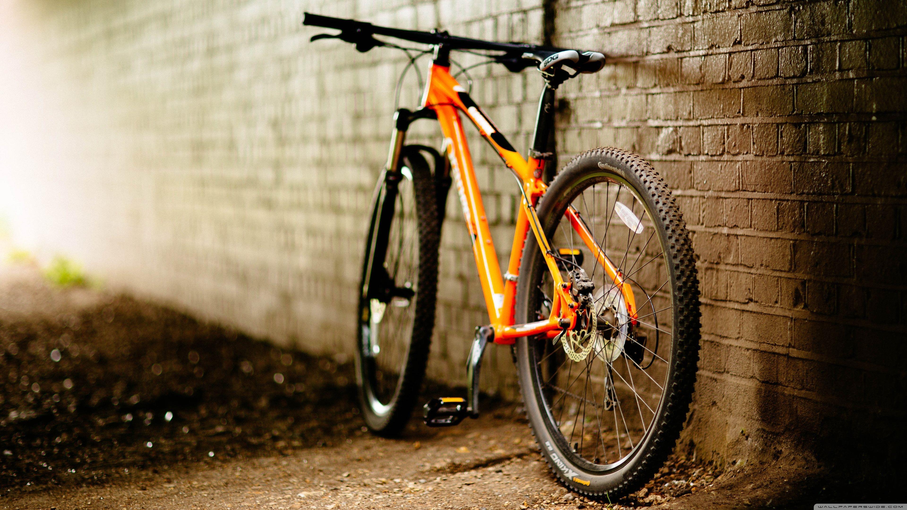 3840x2160 Mountain Bike Wallpaper HD