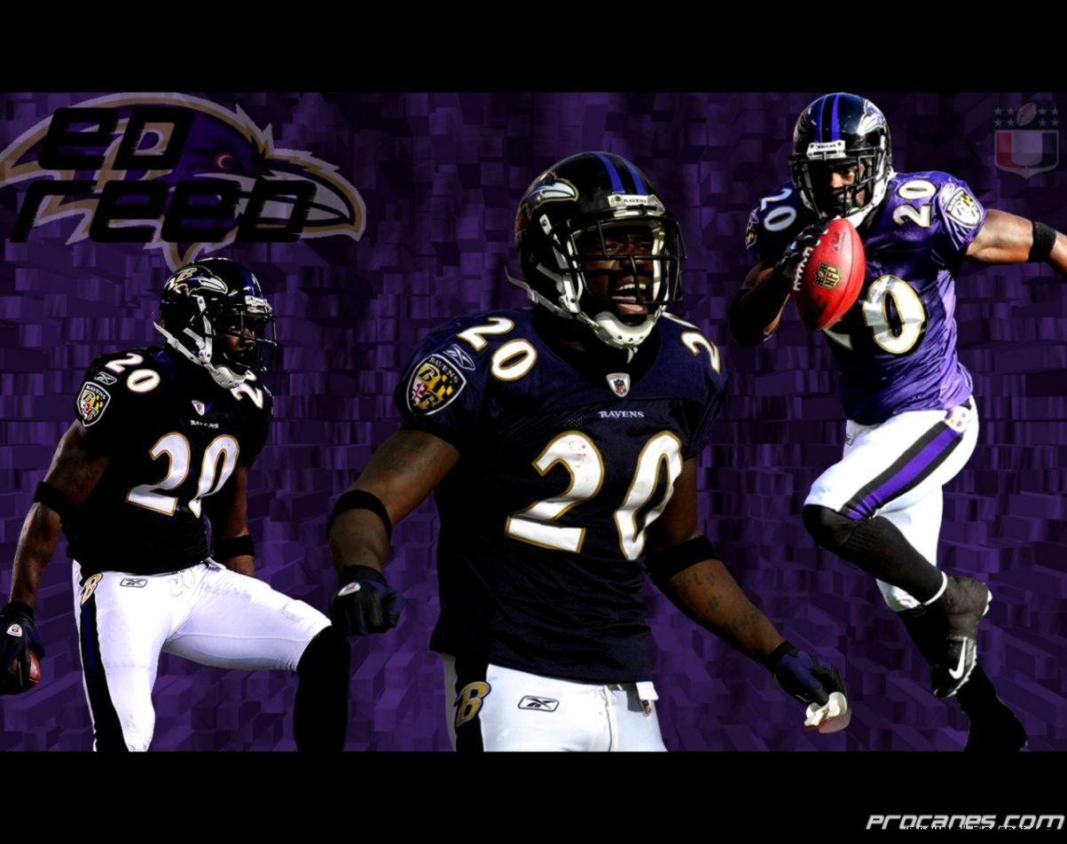 Ed Reed Wallpaper iPhone 11 Wallpapers Free Download