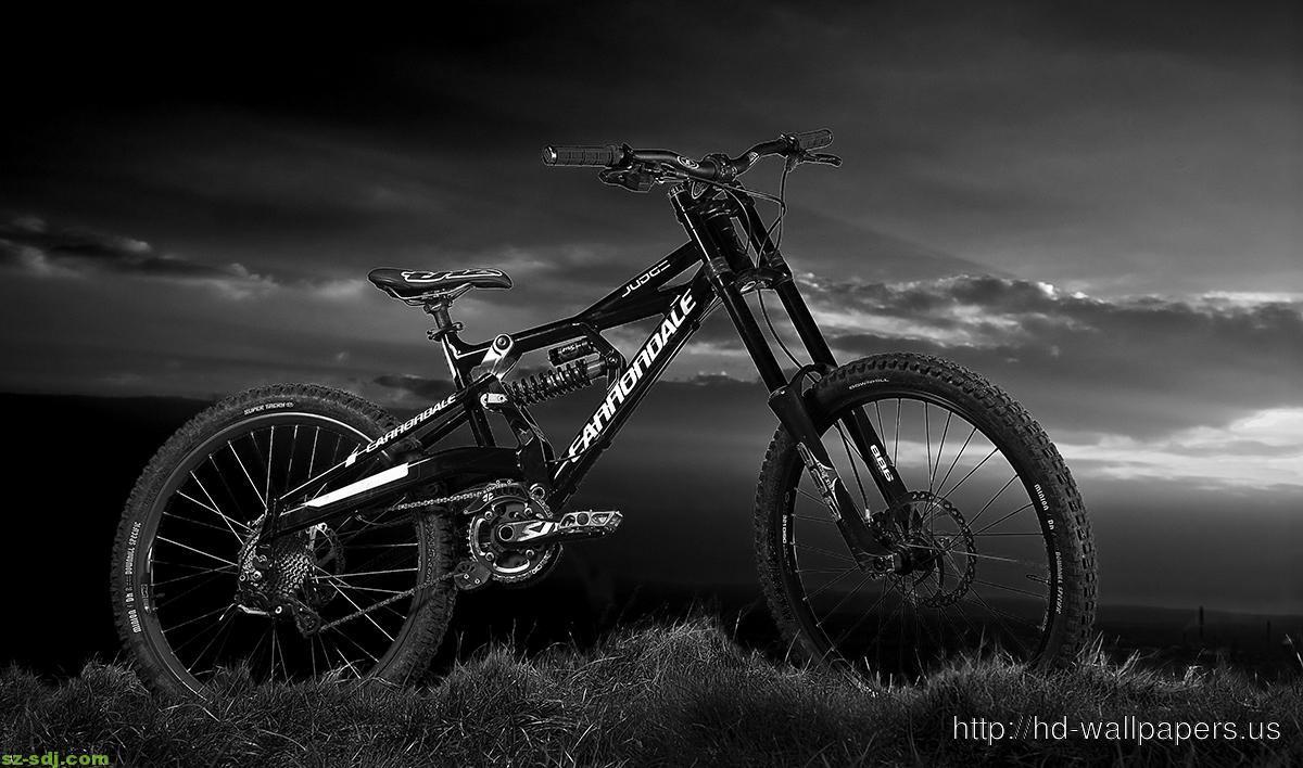 1200x708 Downhill Mountain Bike Wallpaper