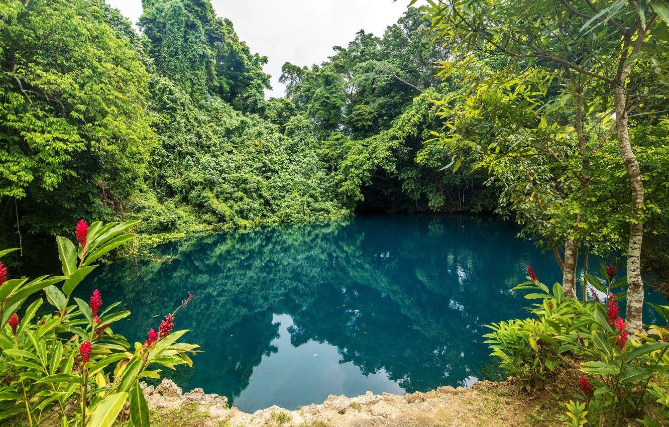 1332x850 Wallpaper greens, trees, flowers, tropics, pond, Park, the bushes, Vanuatu image for desktop, section природа