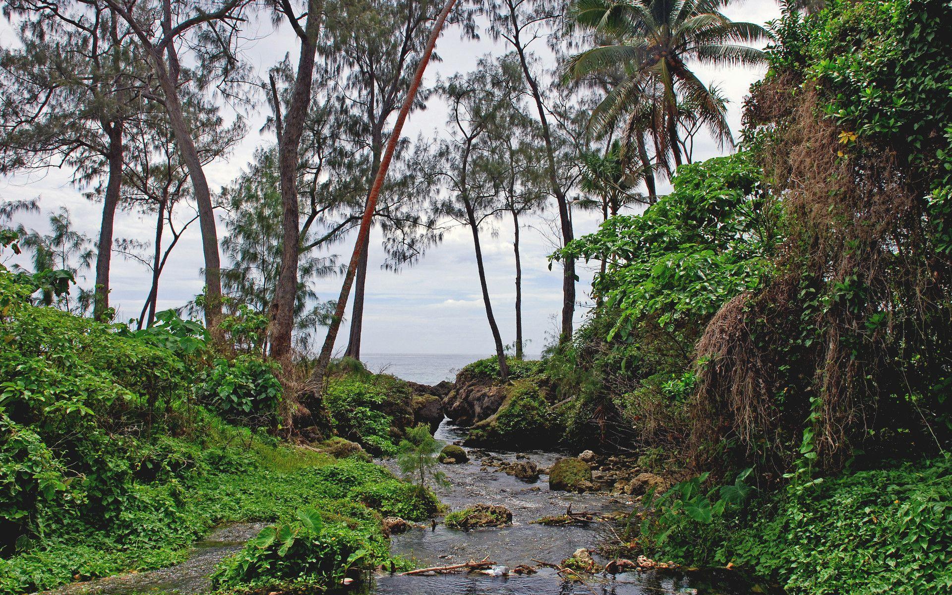 1920x1200 Vanuatu, the island of Efate, creek wallpaper desktop background