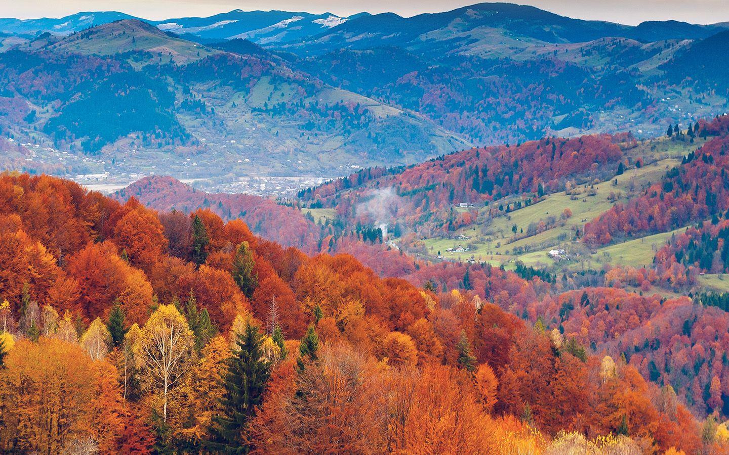 1440x900 wallpaper for desktop, laptop. fall mountain fun red orange tree nature beautiful