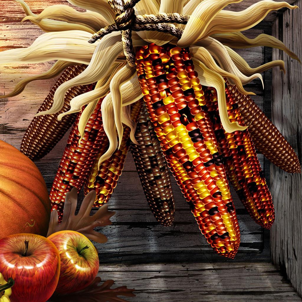 Thanksgiving iPad Wallpapers - Top Free Thanksgiving iPad Backgrounds