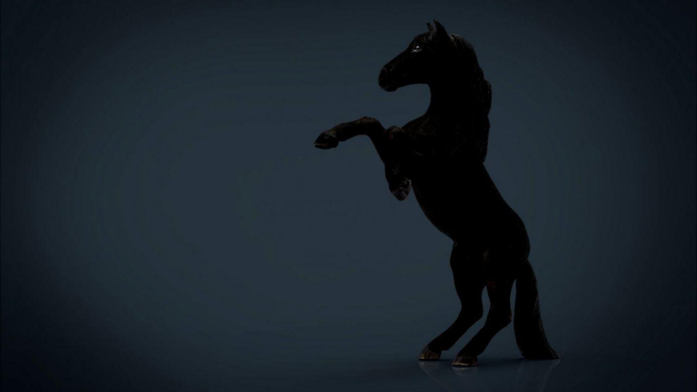 1410x793 Black Fire Horse