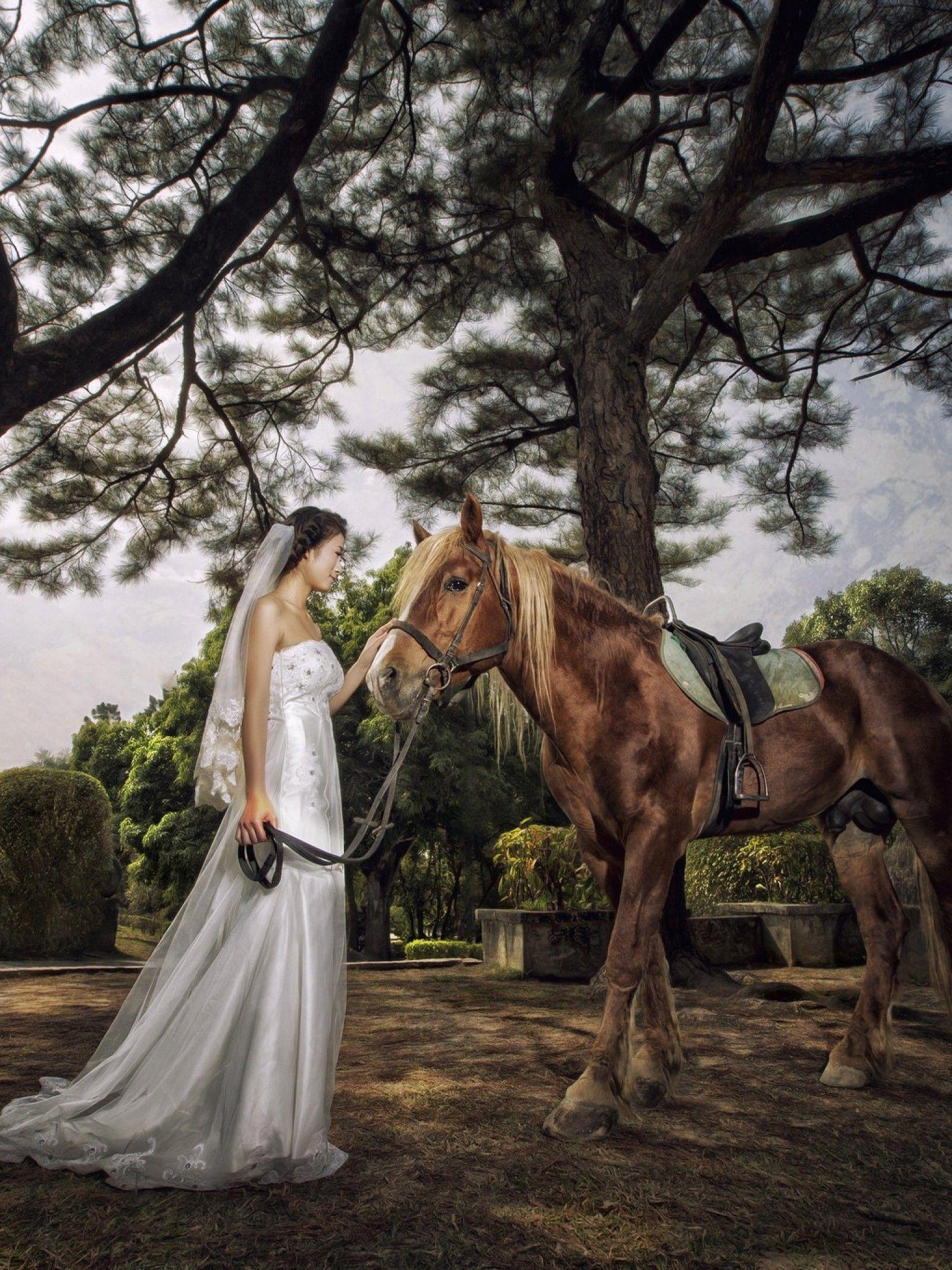 1536x2048 Download 1536x2048 Wedding Dress, Bride, Horse Wallpaper for Apple iPad Mini, Apple IPad 4