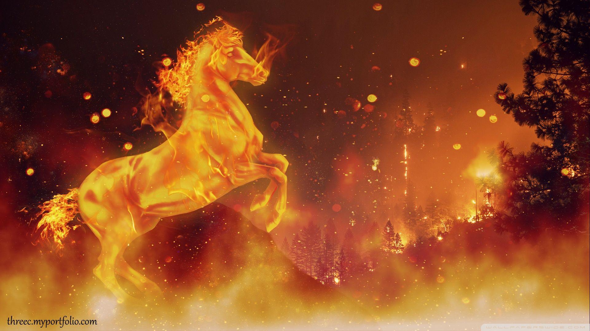 1920x1080 Related Wallpaper Horse Image Hd, Download Wallpaper