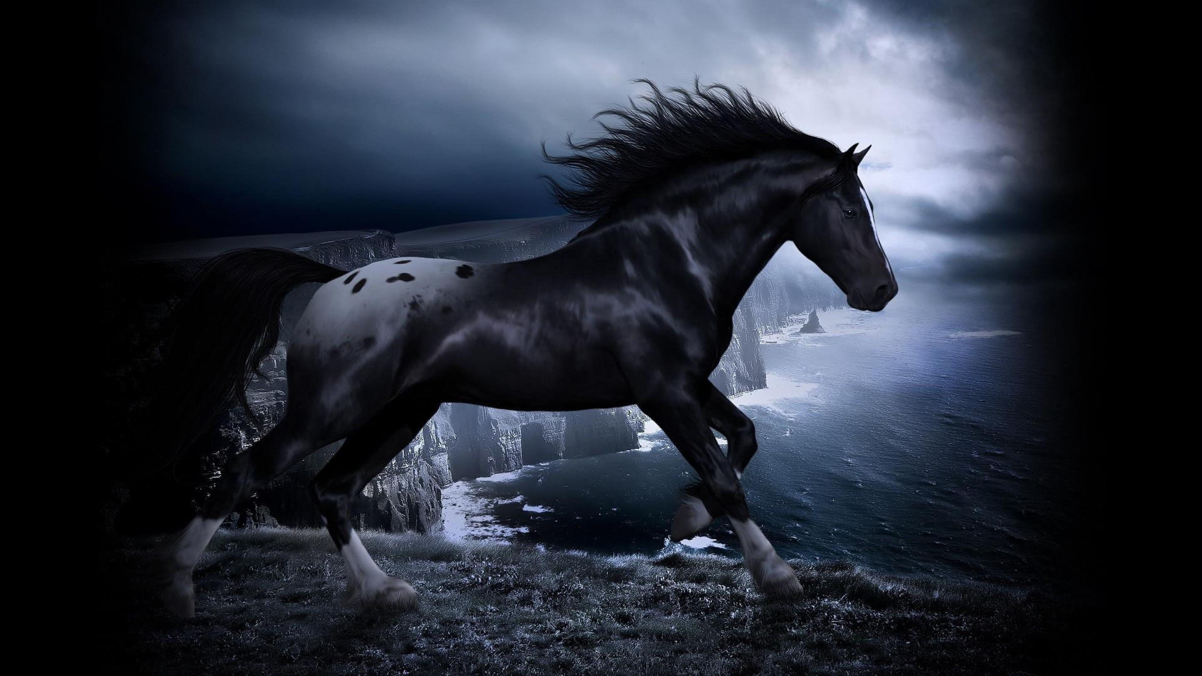 3840x2160 horse #darkness #twilight #night #sea #coast #mane #beauty black horse K # wallpaper #hdwallpaper #desktop. Horse wallpaper, Horses, Fantasy horses