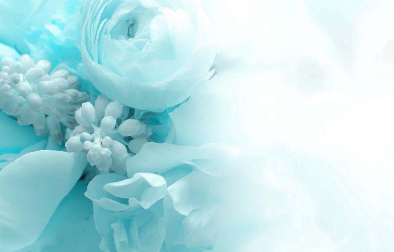 Blue And White Wedding Background - Image to u