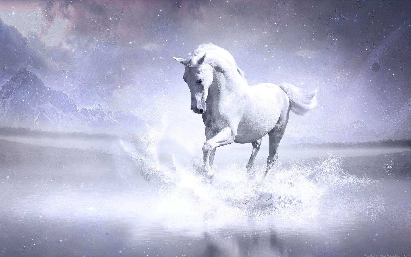 1680x1050 White Horse Wallpaper in jpg format for free download