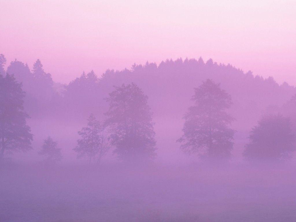 1024x768 Pink Forest wallpaper
