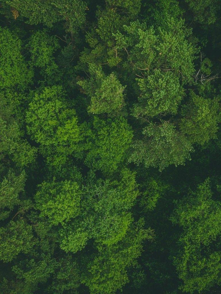 Green iPad Wallpapers Top Free Green iPad Backgrounds WallpaperAccess