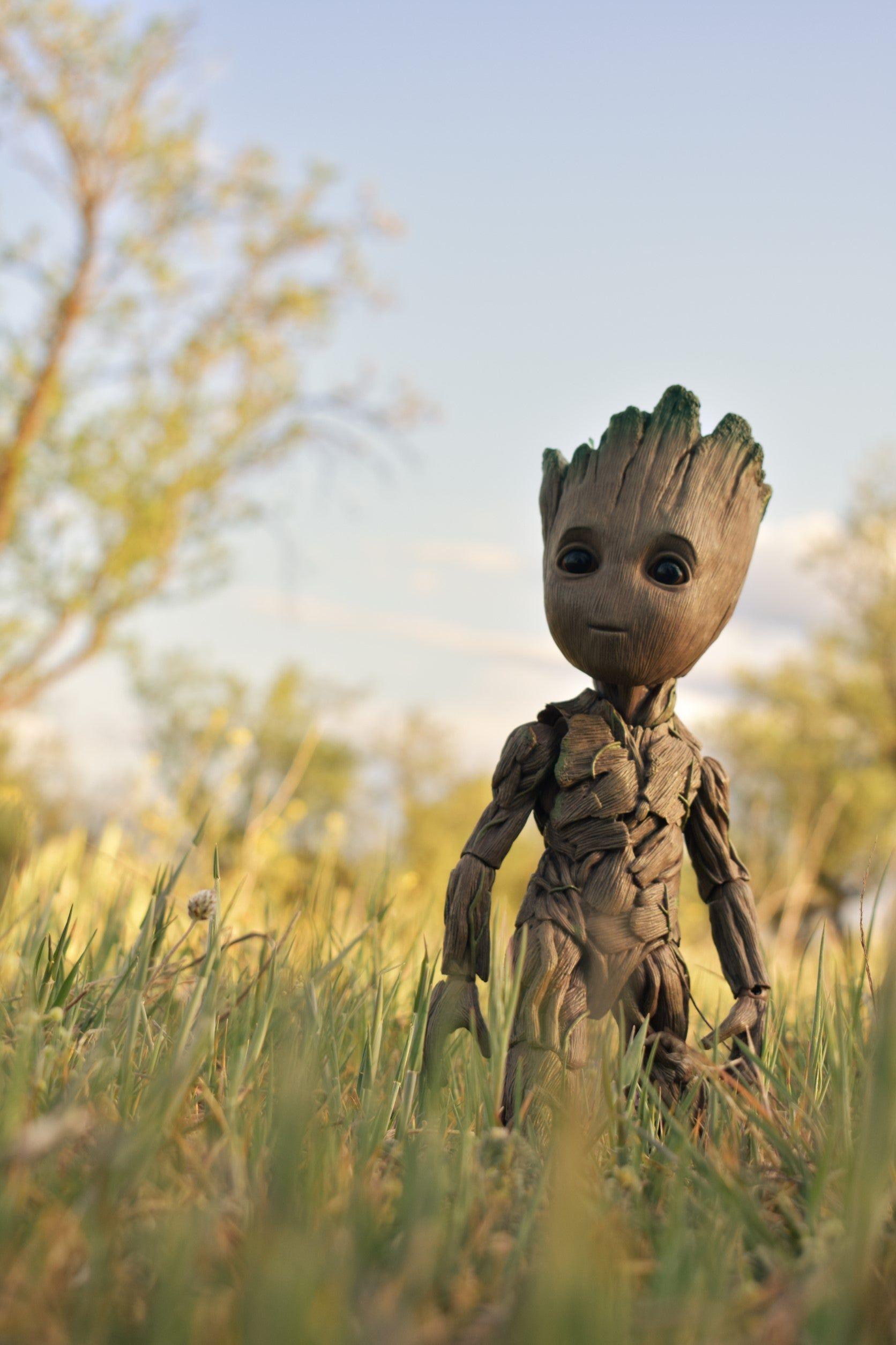 1672x2508 My GF did a photo of my baby groot and now I have new wallpaper