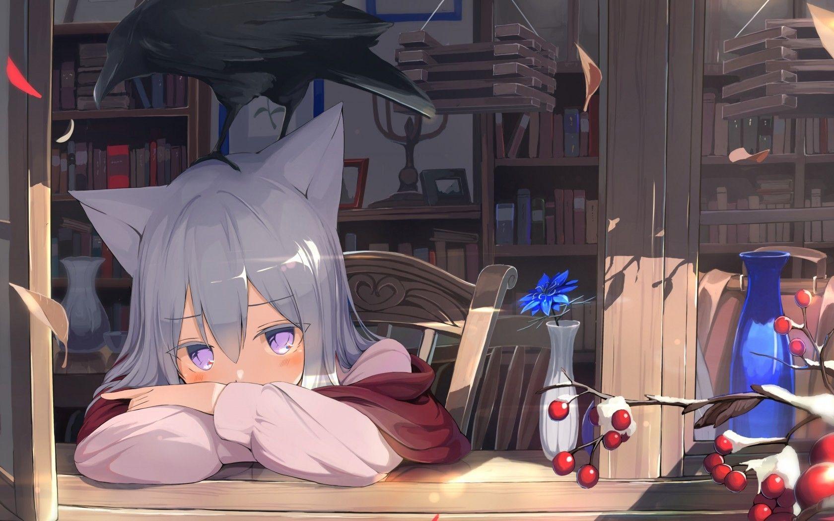 1680x1050 Download 1680x1050 Anime Girl, Cozy Room, Animal Ears, White Hair, Resting, Library, Books Wallpaper for MacBook Pro 15 inch