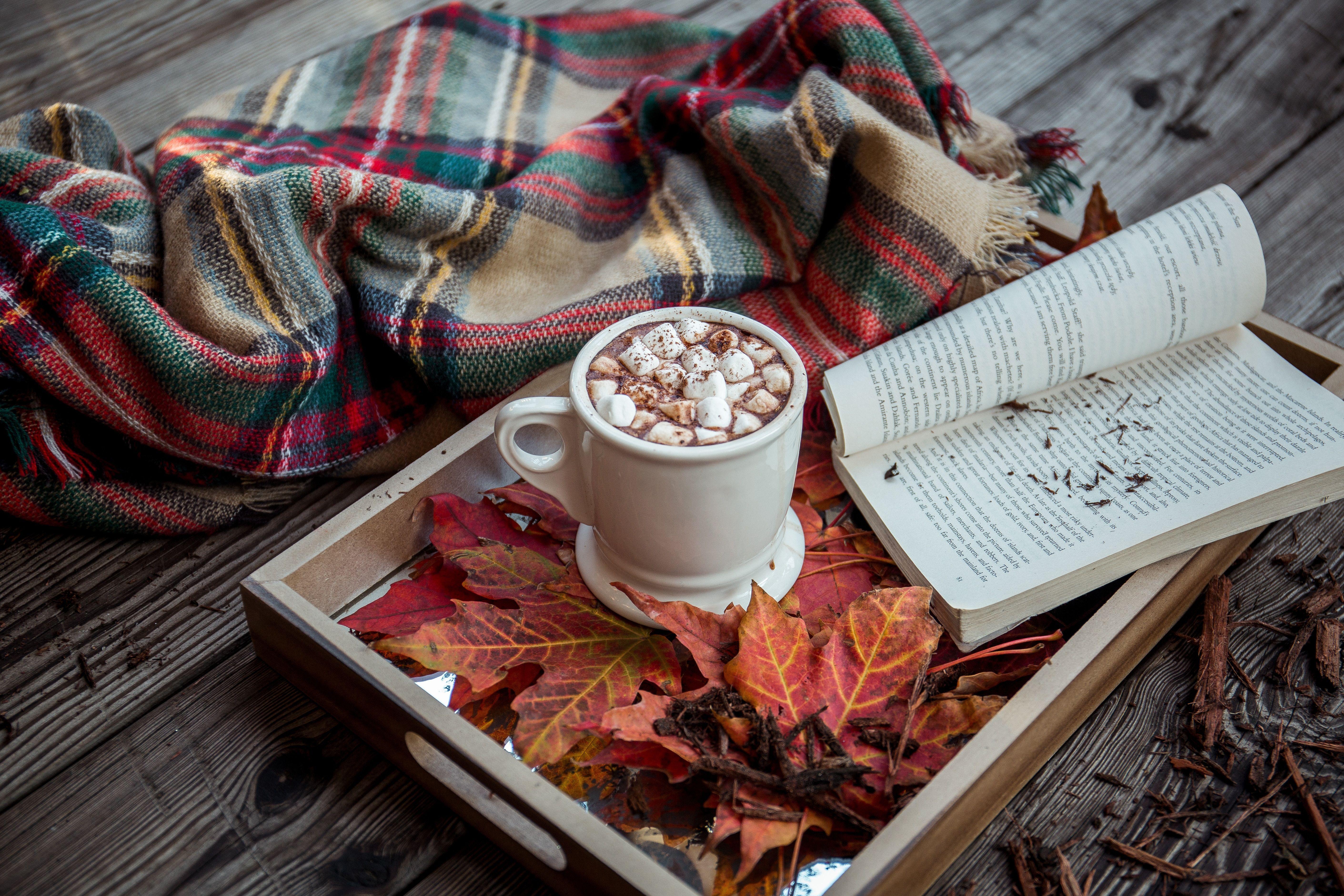 5643x3762 5643x3762 #Public domain image, #anthropologie, #fall, #autumn, # book, #cup, #marhmallow, #mug, #hoto chocolate, #hygge, #drink, #blanket, #marshmallows, #food, #still life, #leaves, #relaxing, #cosy, #page, #wooden, #tray. Mocah.org HD