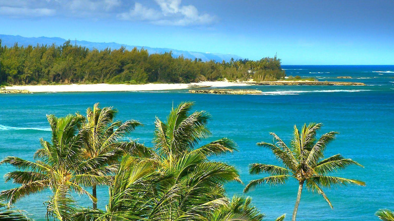 1600x900 Hawaiian Beach Wallpaper