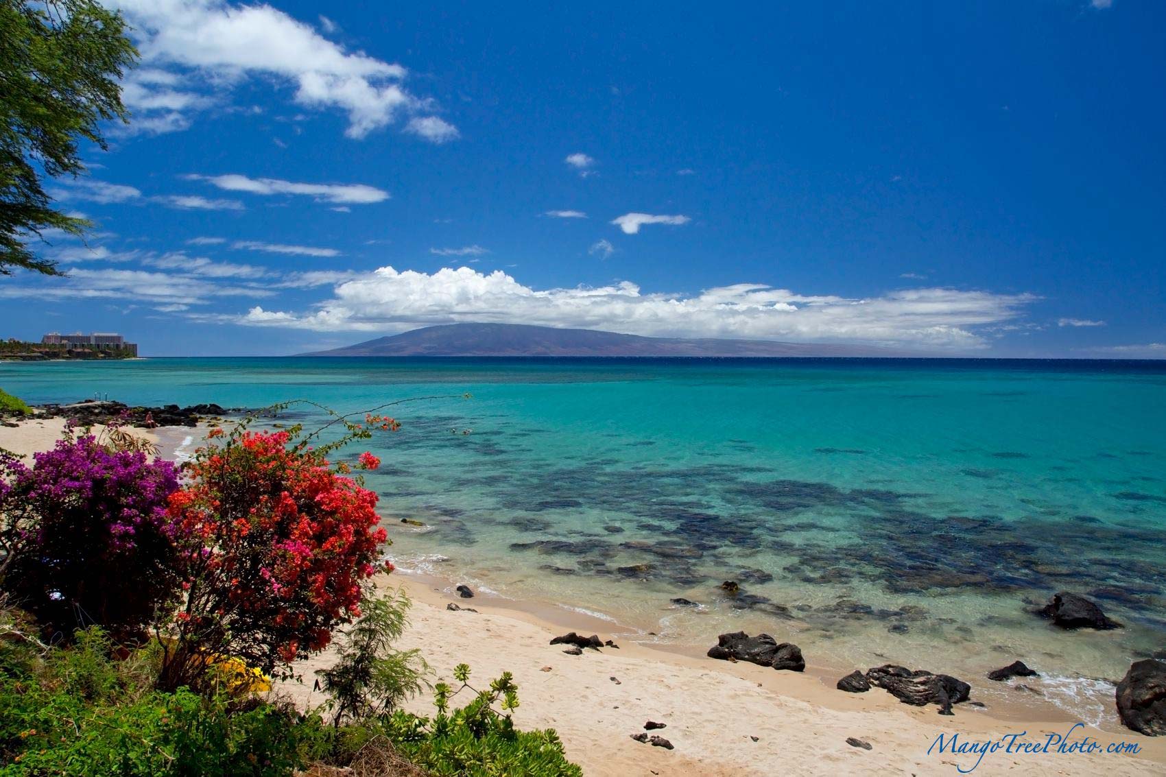 maui hawaii scenery