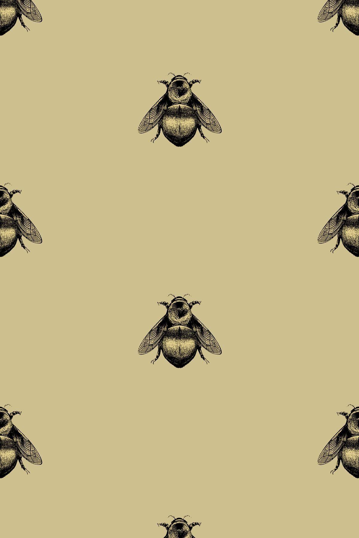 Hình nền ong mật 1200x1798 Uk