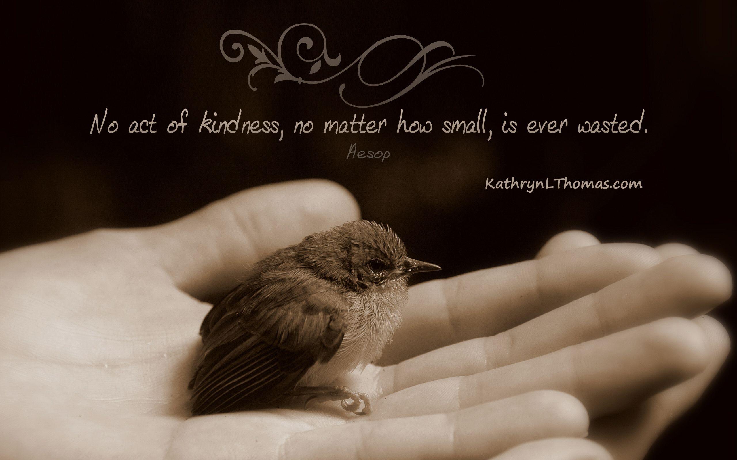 2560x1600 Little Kindness Quotes. QuotesGram
