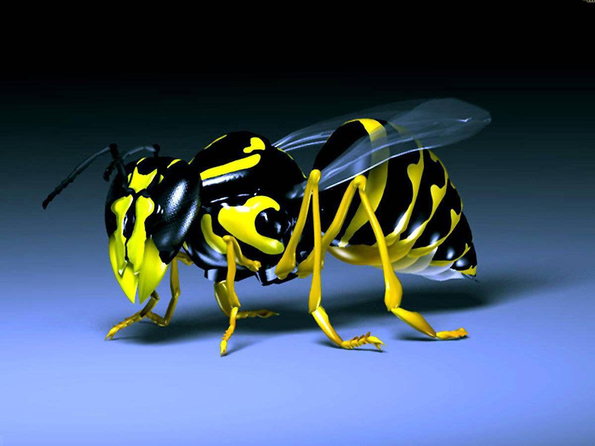 1200x900 Ong mật vàng 3D