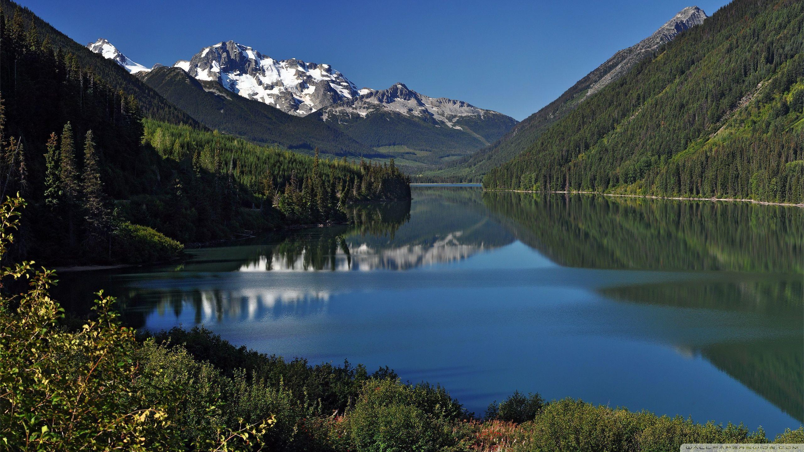 2560x1440 Wilderness Wallpaper