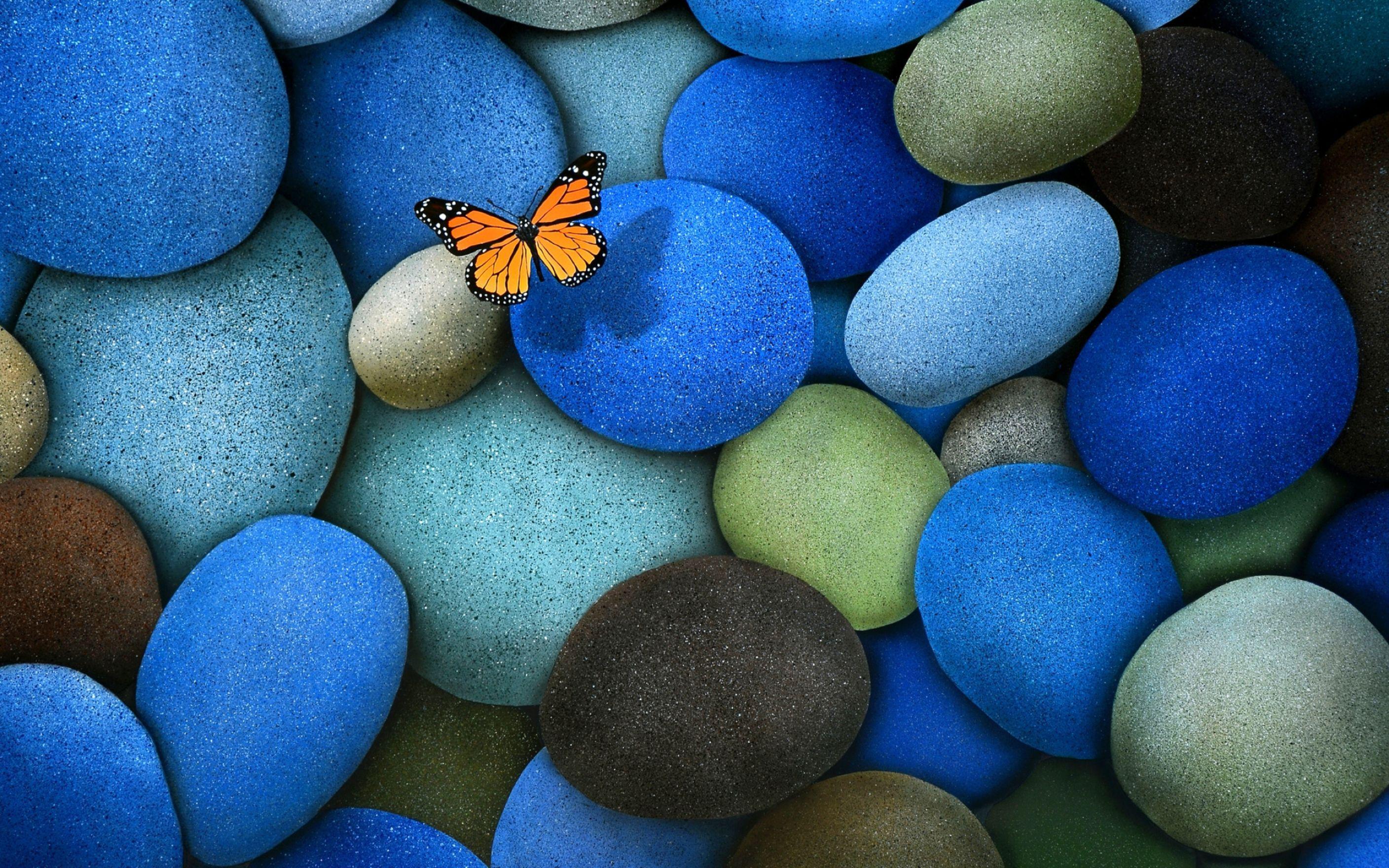 2816x1760 Butterfly On Coloured Stones Wallpaper: Desktop HD Wallpaper Free Image, Picture, Photo on