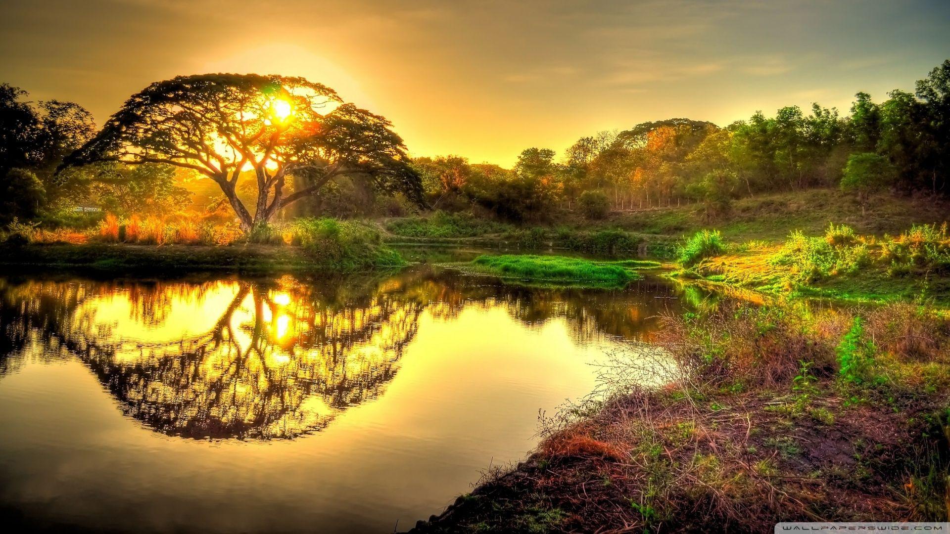 1920x1080 Wild Sunrise HDR Ultra HD Desktop Background Wallpaper for : Widescreen & UltraWide Desktop & Laptop : Multi Display, Dual Monitor : Tablet