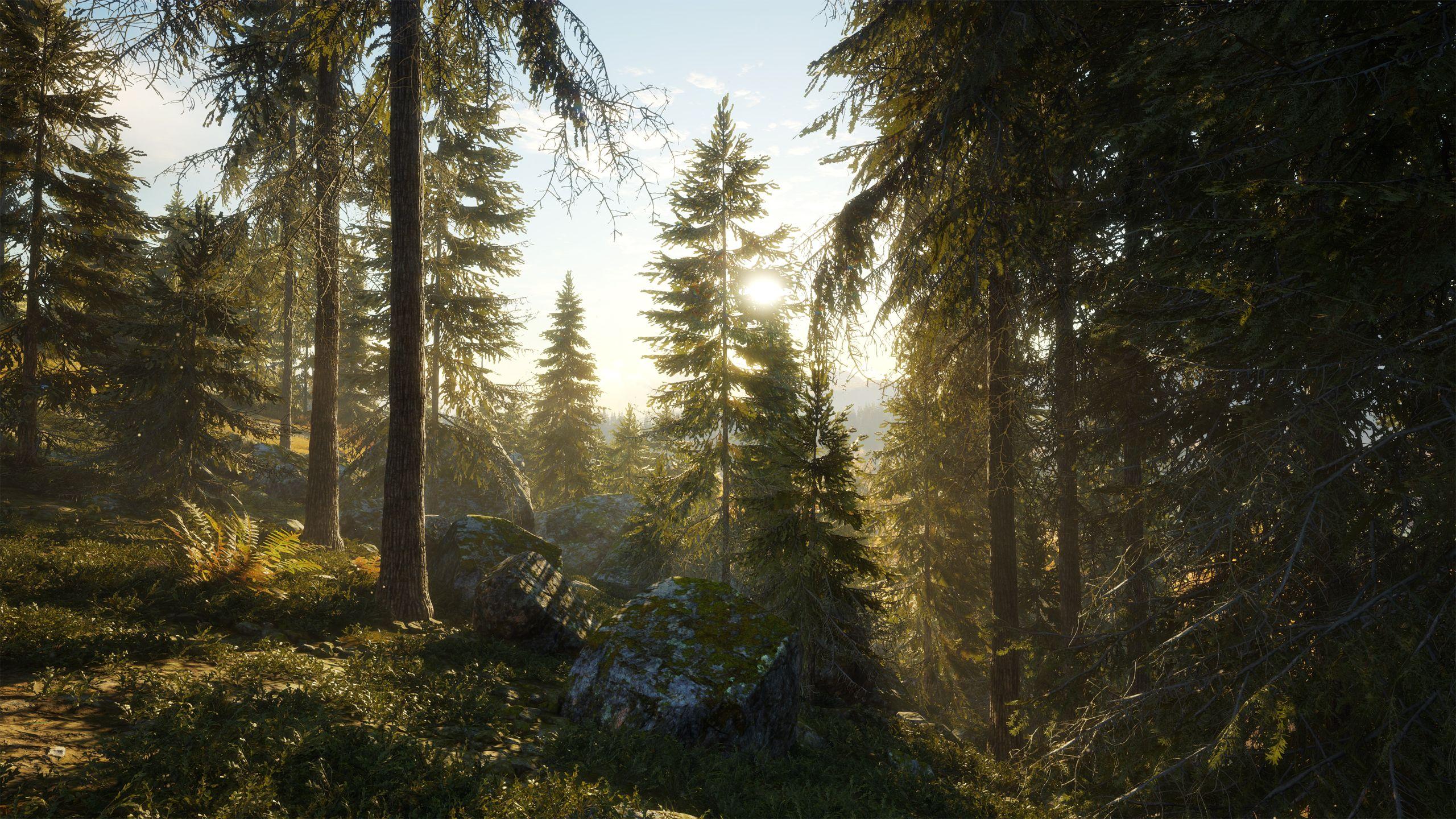 2560x1440 TheHunter: Call Of The Wild Wallpaper, Picture, Image