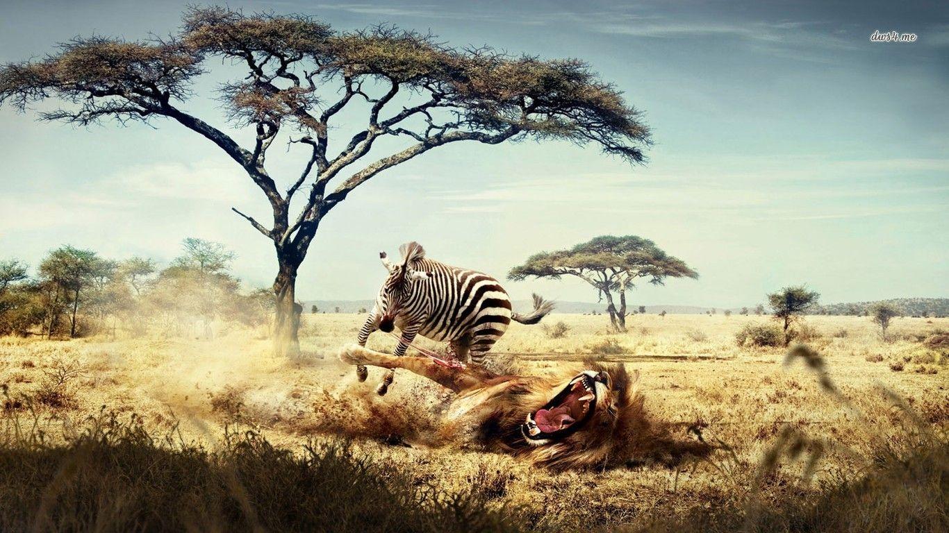 1366x768 Wildlife Wallpaper