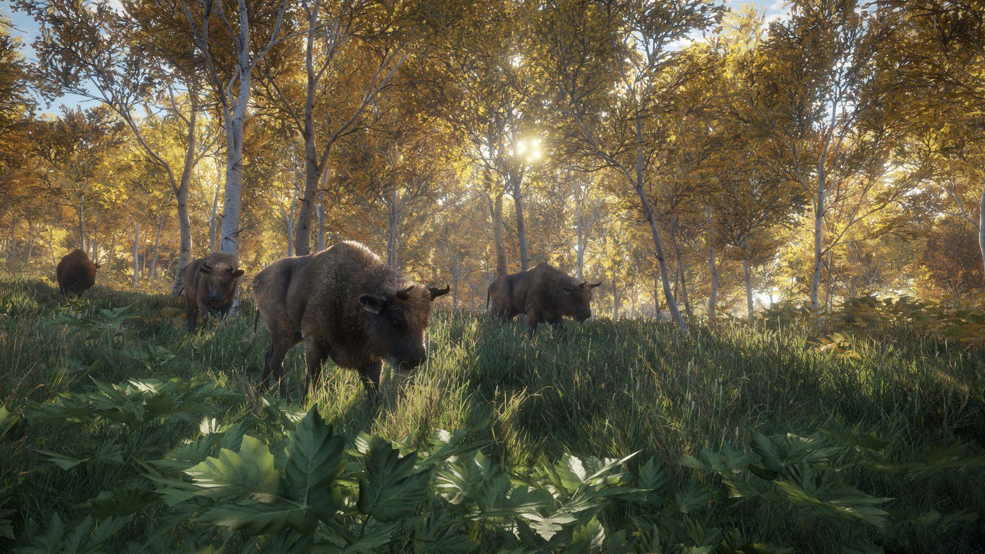 1920x1080 TheHunter: Call Of The Wild Wallpaper, Picture, Image