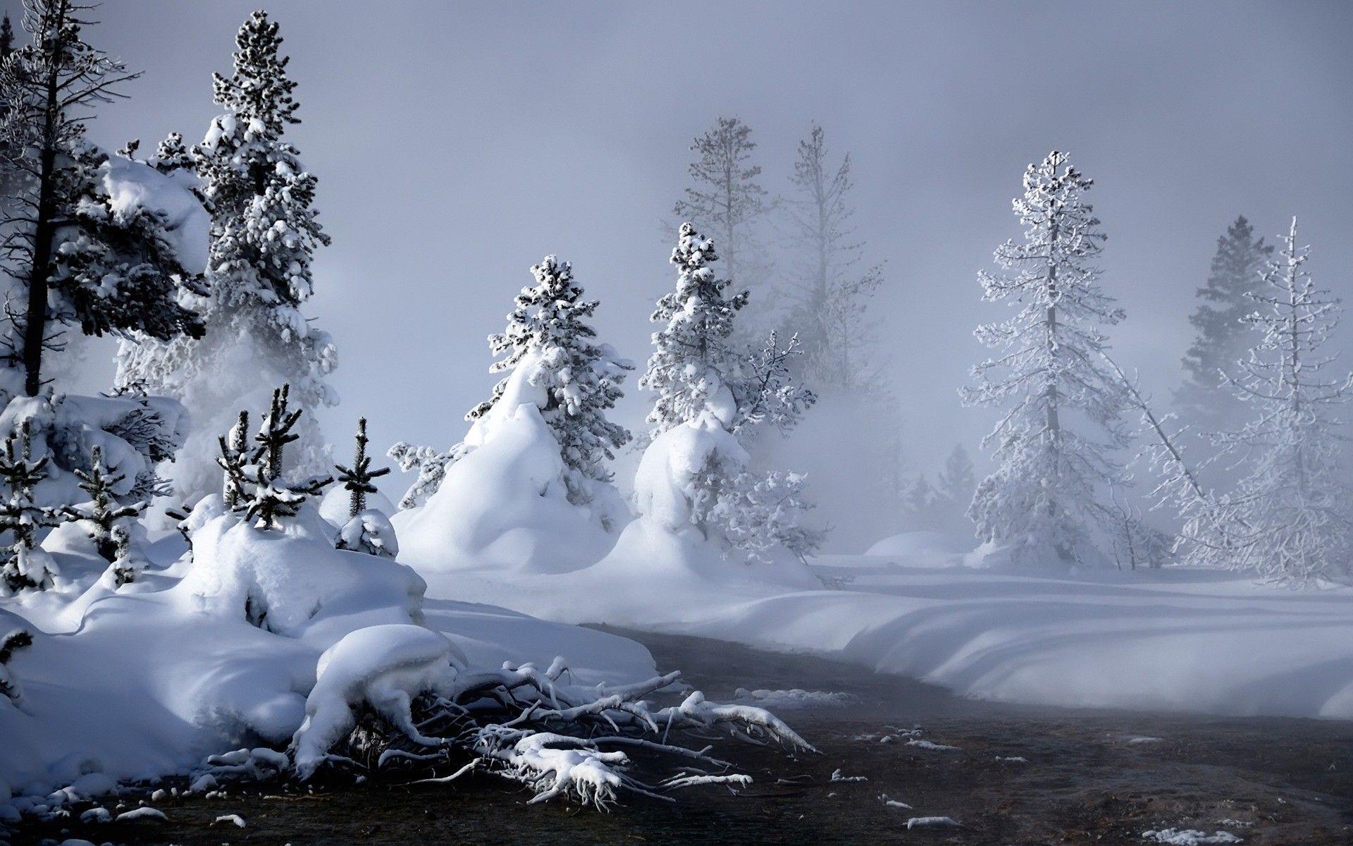 1920x1200 Winter Wallpaper for Desktop