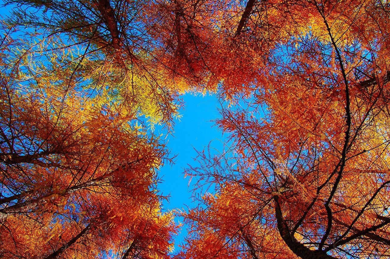 Autumn Sky Wallpapers - Top Free Autumn Sky Backgrounds - WallpaperAccess