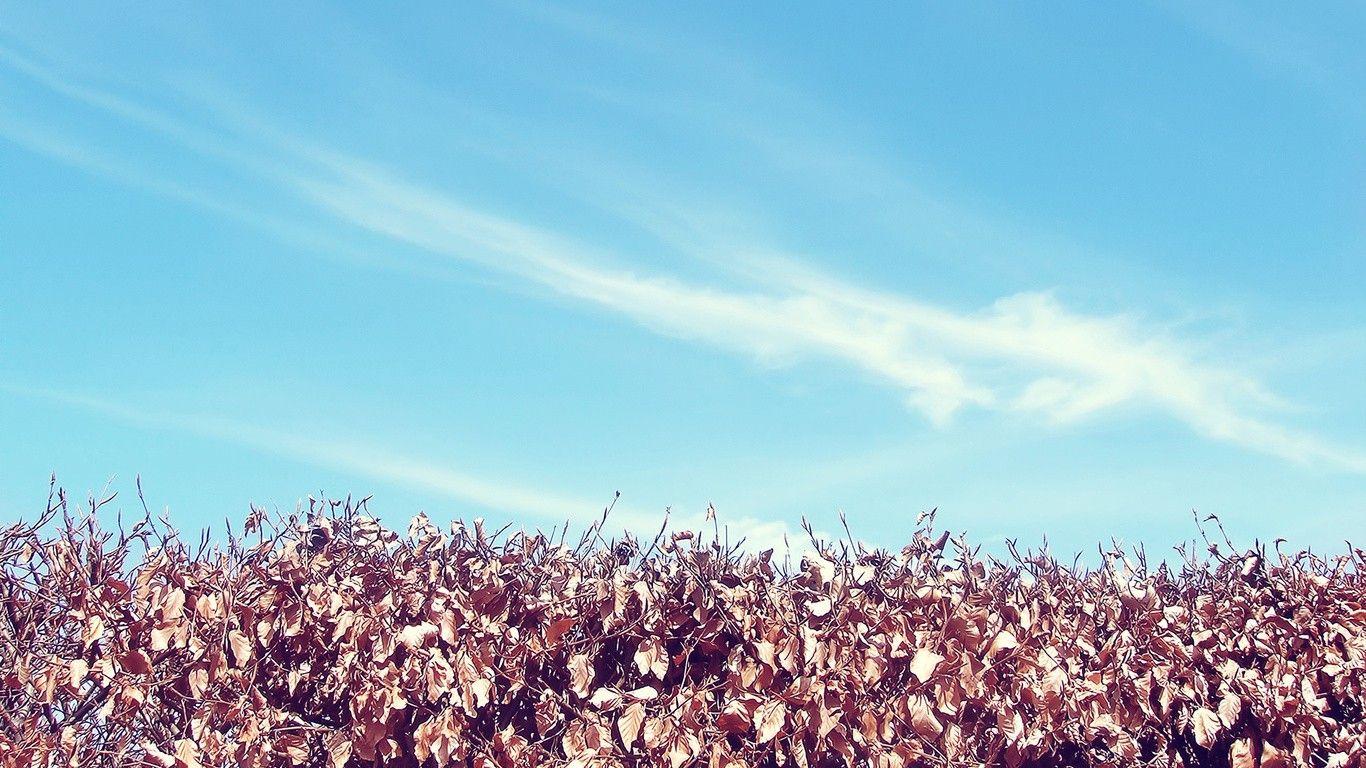 1366x768 Autumn Sky desktop PC and Mac wallpaper