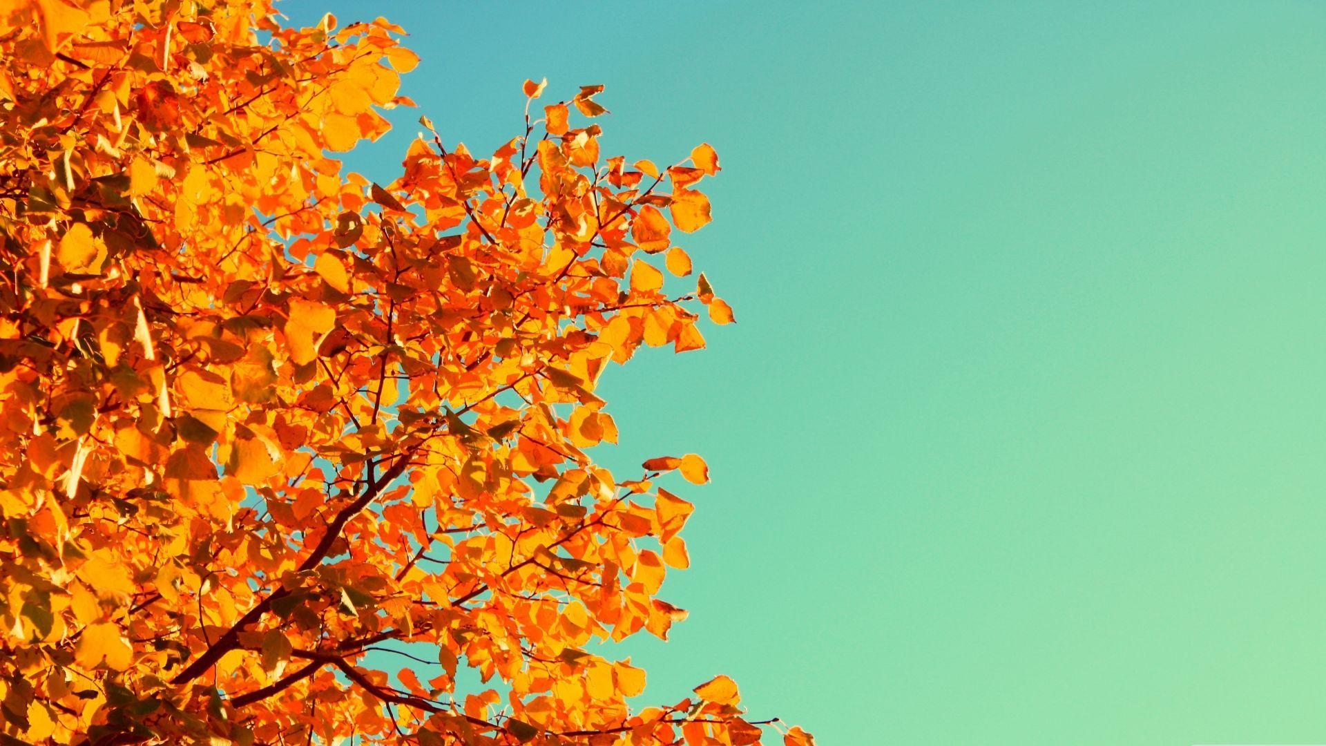 Autumn Sky Wallpapers - Top Free Autumn Sky Backgrounds - WallpaperAccess