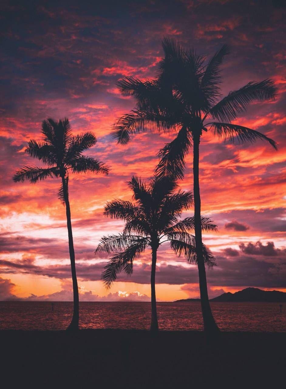 942x1280 Download Sunset Love Wallpaper by NostalgicPixels now. Browse millions of popul. Tree sunset wallpaper, Sunset picture, Landscape wallpaper