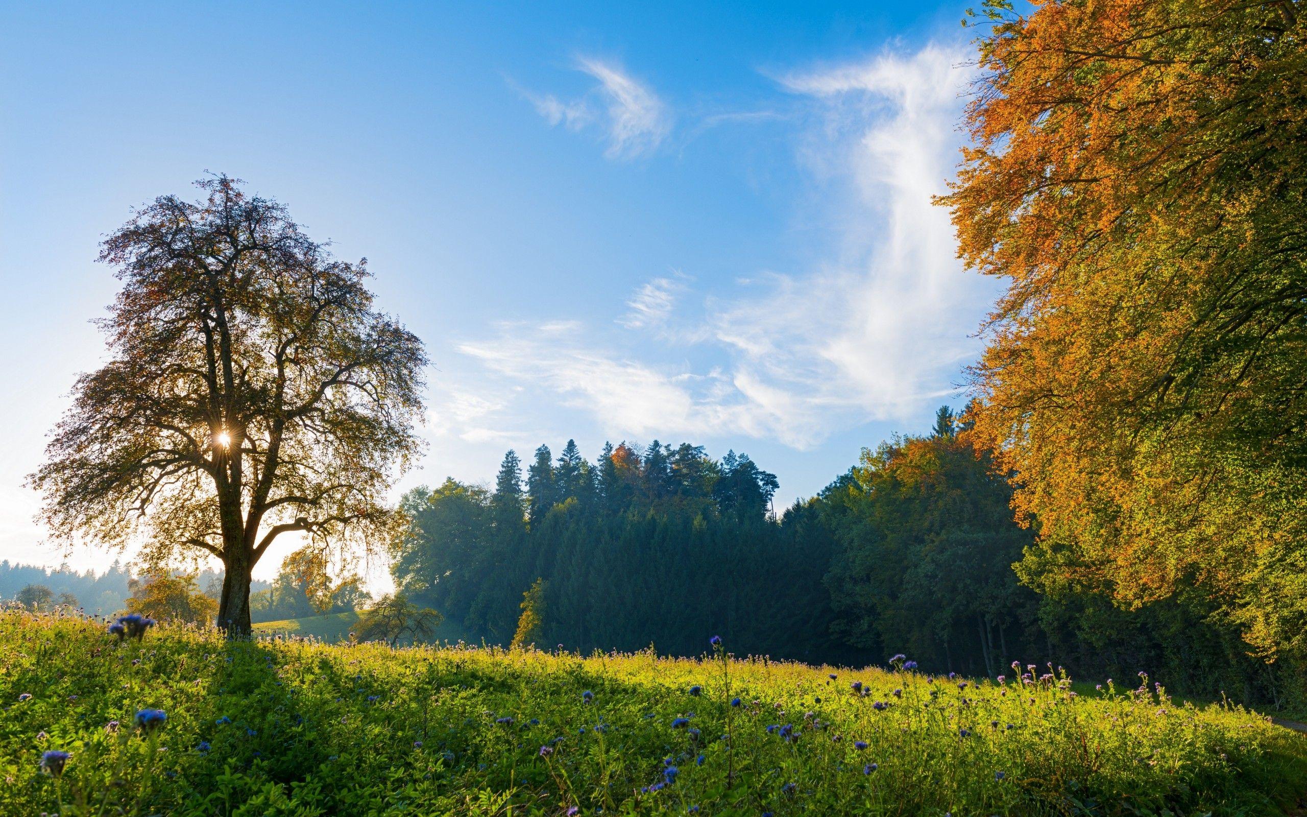 Autumn Sky Wallpapers - Top Free Autumn Sky Backgrounds - WallpaperAccess