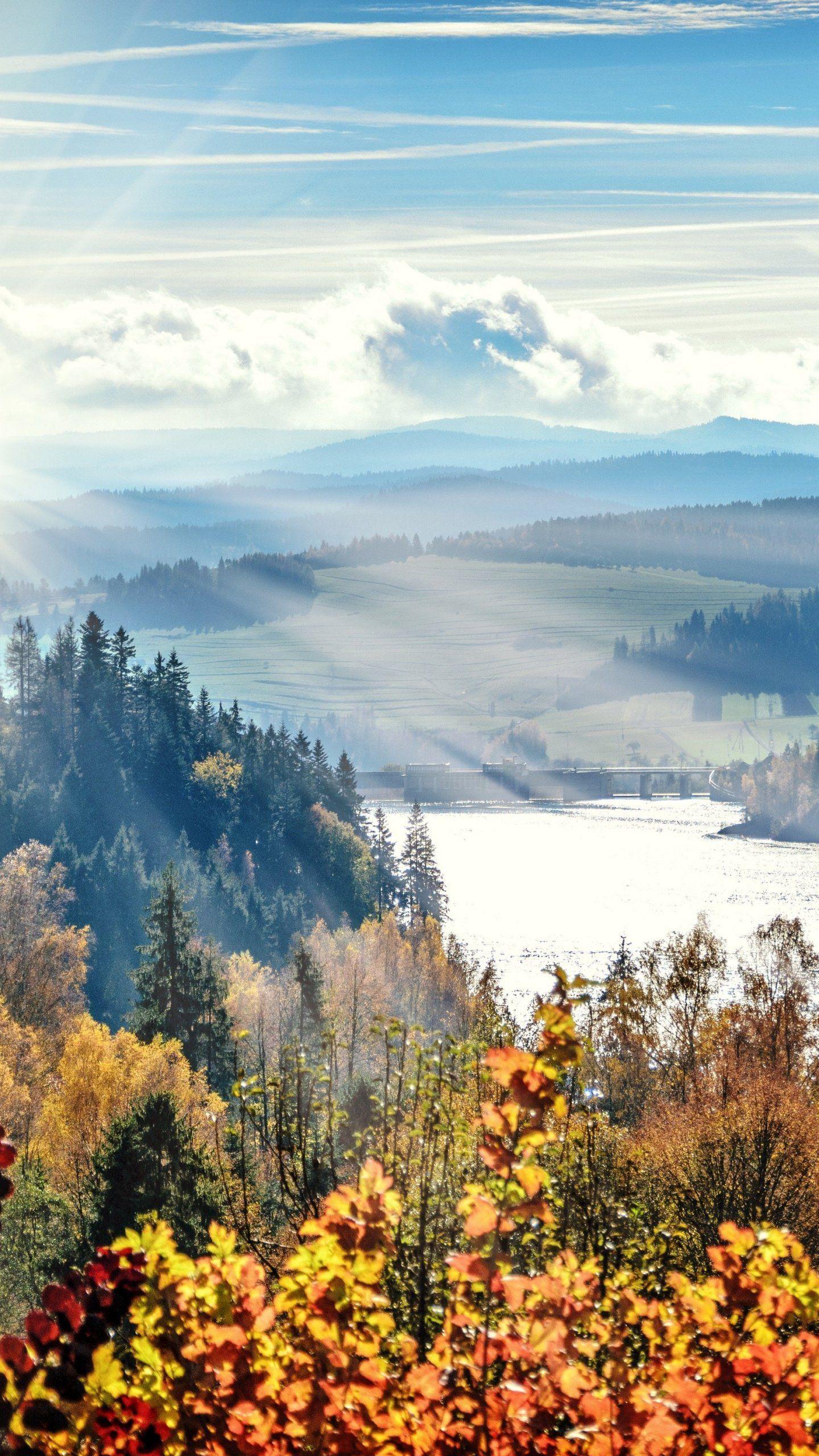 1440x2560 Autumn Forest River Scene Wallpaper, Android & Desktop Background. Autumn forest, Mobile wallpaper, Wallpaper
