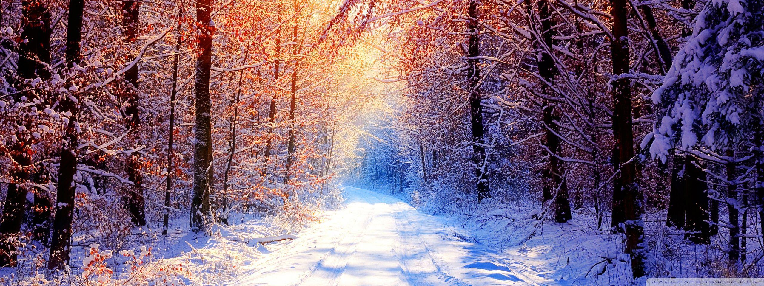 2560x960 Winter Screen Wallpaper