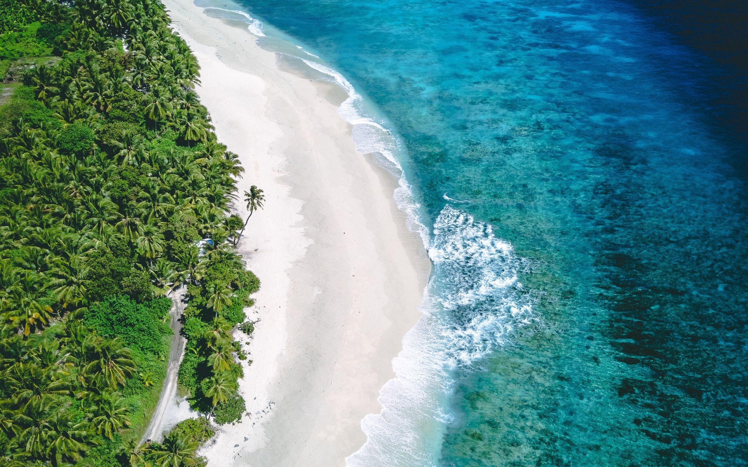 2560x1600 Download wallpaper tropical island, view from above, aerial view, ocean, beach, palm trees, sea for desktop with resolution 2560x1600. High Quality HD picture wallpaper