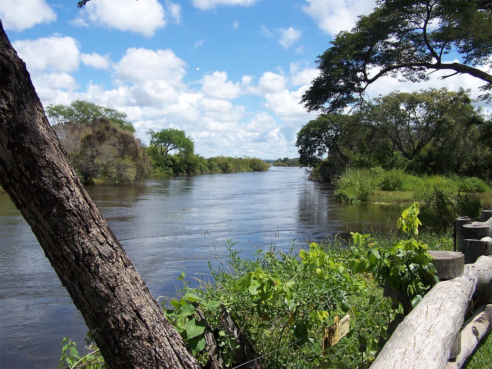 1600x1200 Scenic Wallpaper for your Desktop. African Wildlife Image