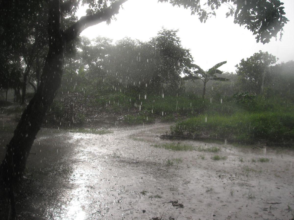1200x900 Season Picture Image Wallpaper Happy Beautiful Rainy Season In Zambia HD Wallpaper