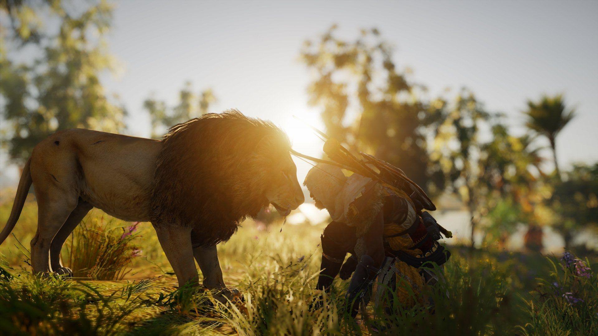 1920x1080 Wallpaper Assassin's Creed Origins, Lion, Sunlight, Ingame