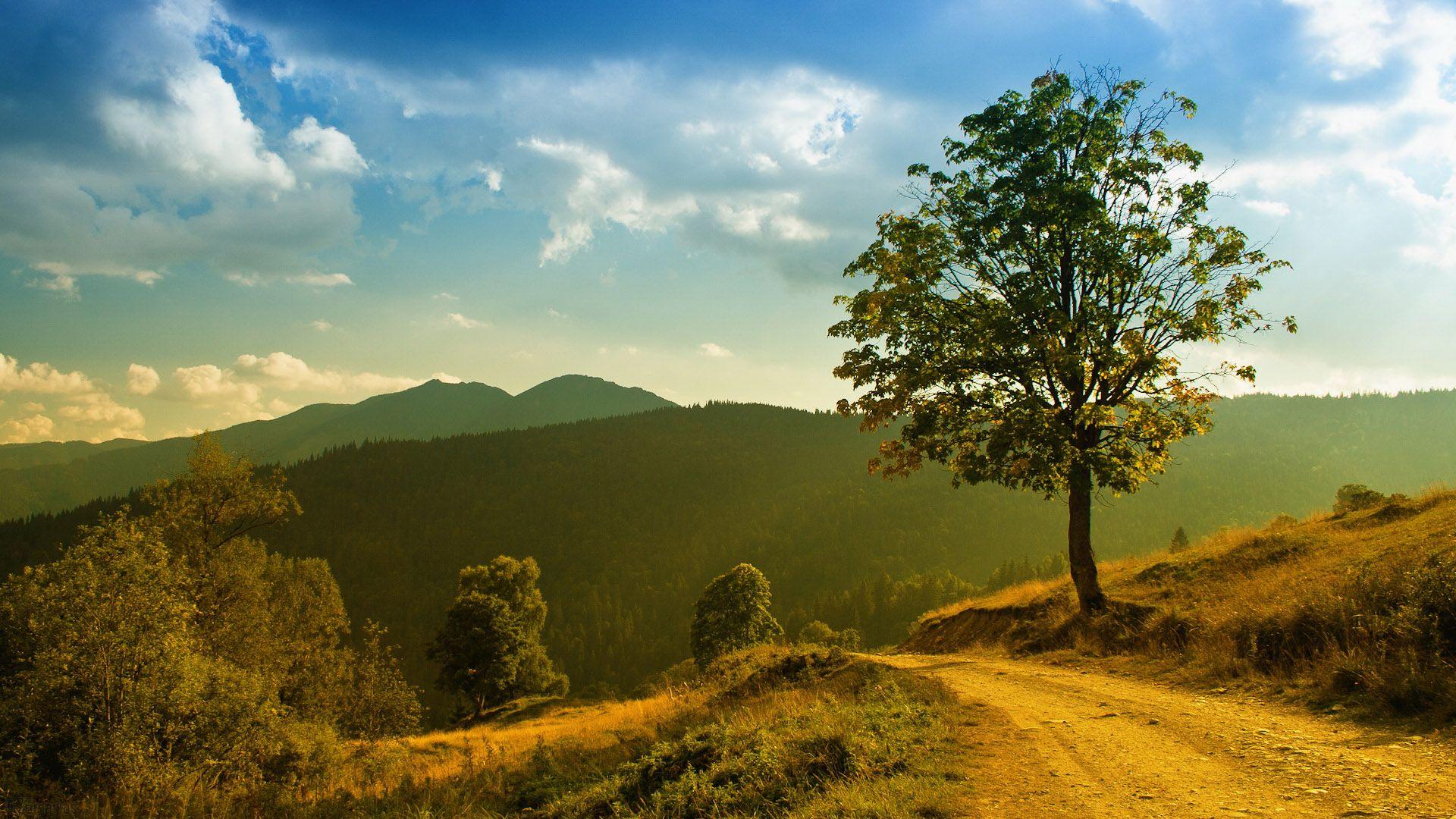 1920x1080 Wallpaper Sites. Opposites Attract Wallpaper, Historical Sites Wallpaper and Opposites Attract Wallpaper Seabrook