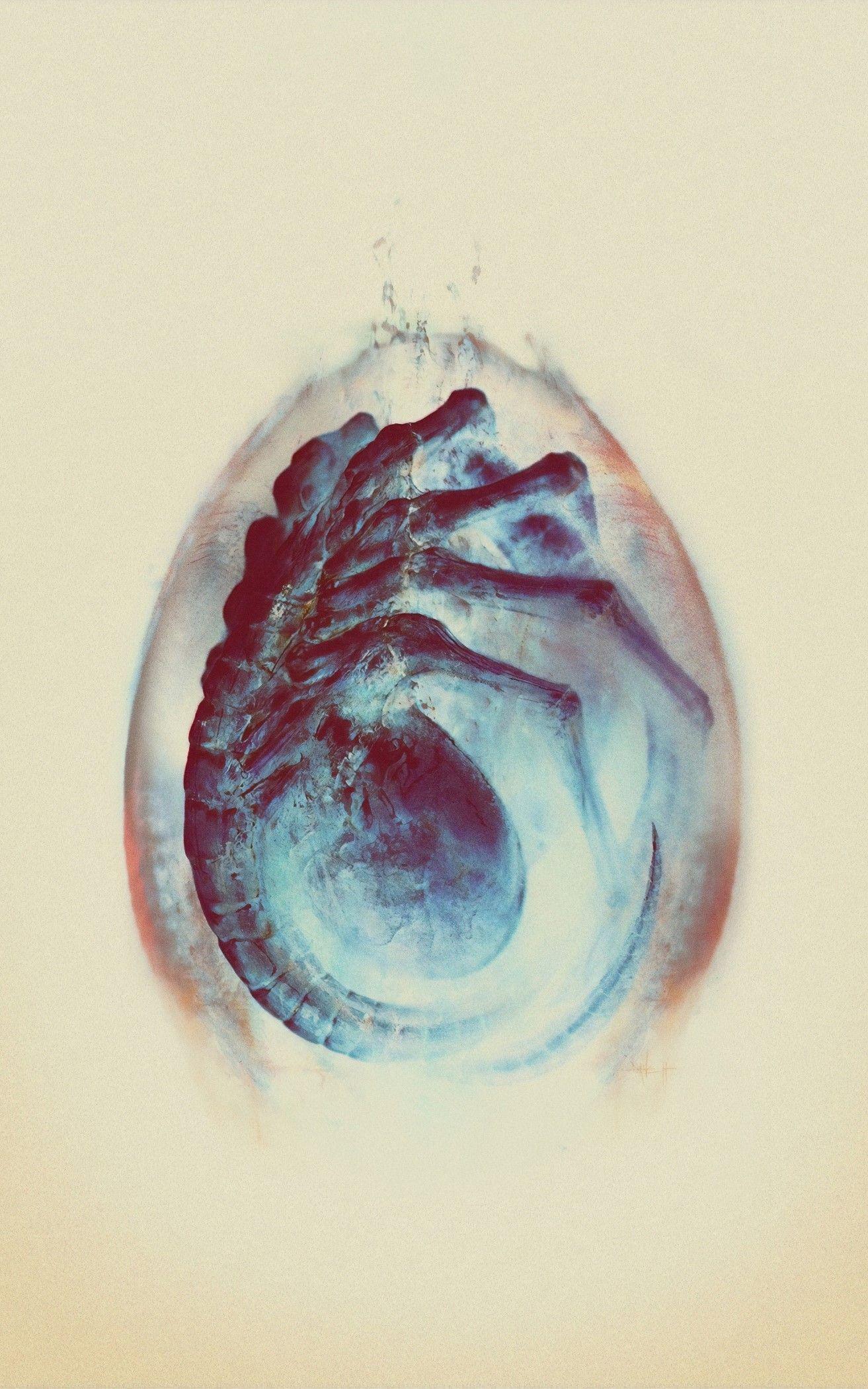 1313x2100 Facehugger Egg. Phone wallpaper, Alien, Alien 1979